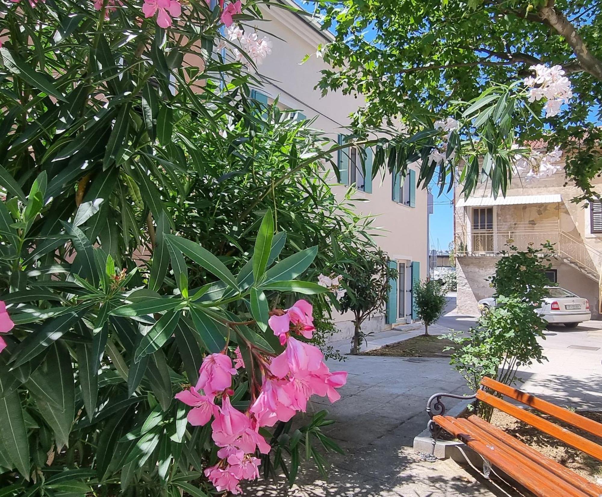 Dea Del Mar Apartments Izola Exterior photo